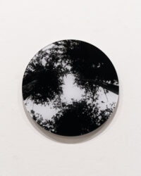 o.T.untitled