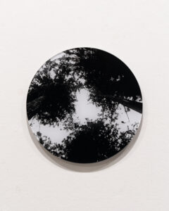 o.T.untitled