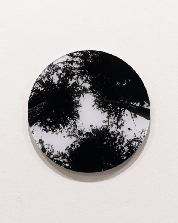 o.T.untitled