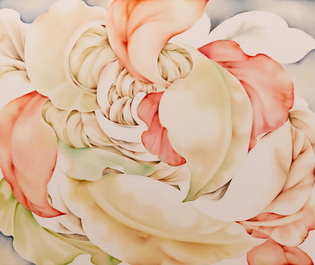 Embrace