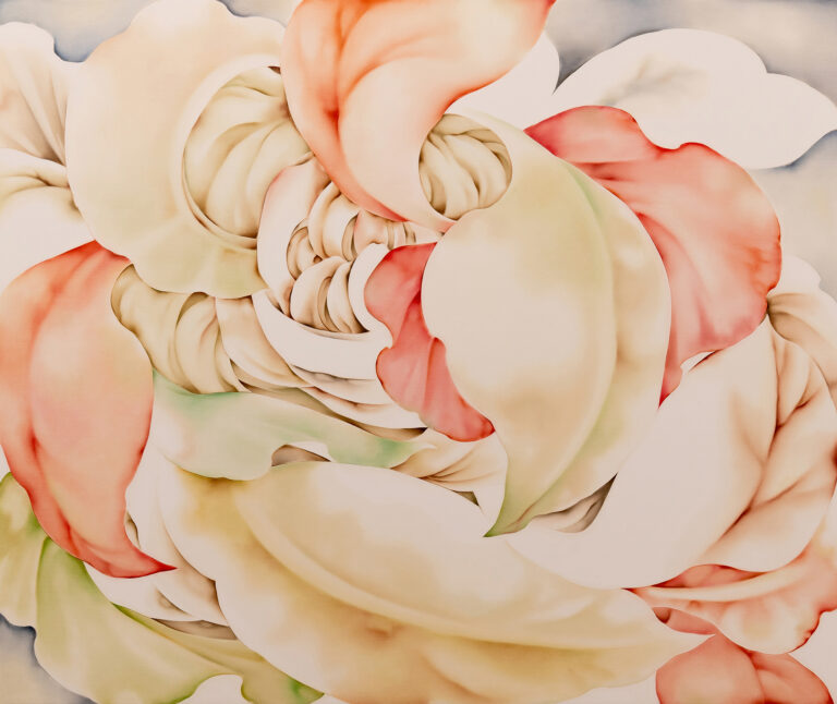 Embrace